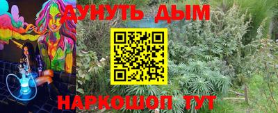 молекула духа Северобайкальск