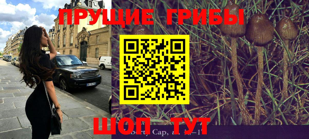 Псков  Галлюциногенные грибы мухоморы  Вход с VPN  Псилоцибиновые грибы мицелий 