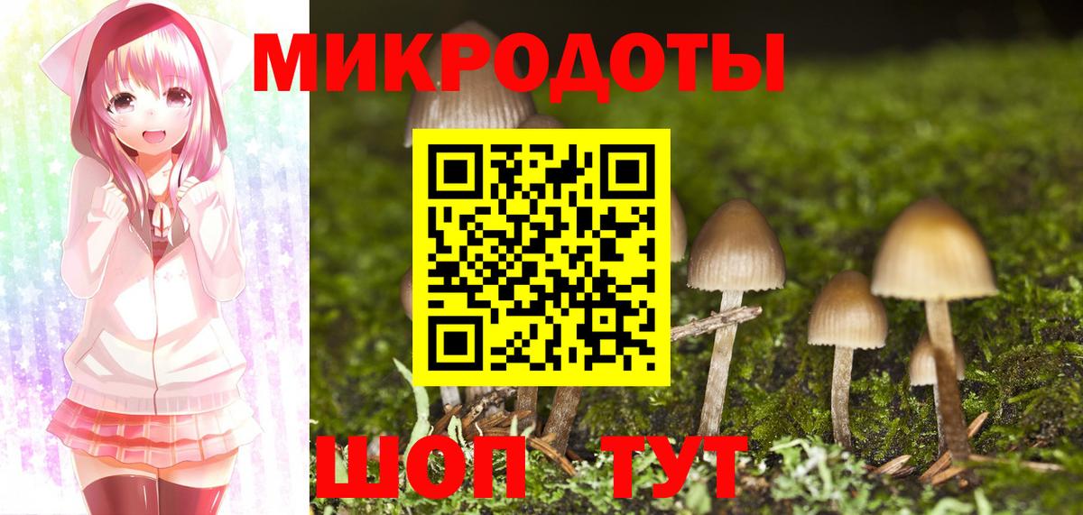 Псилоцибиновые грибы MAGIC MUSHROOMS Псков